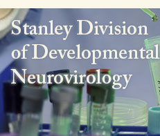 Stanley Division of Developmental Neurovirology