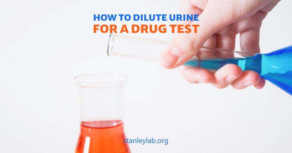 How to Dilute Urine for a Drug Test?