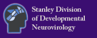 Stanley Division of Developmental Neurovirology